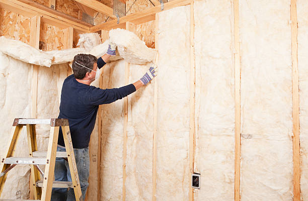 Best Commercial Insulation Services  in Ack, NY